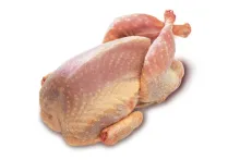 200905 | Prepelica bez hlavy 150/170g 4 x 150 - 170 g